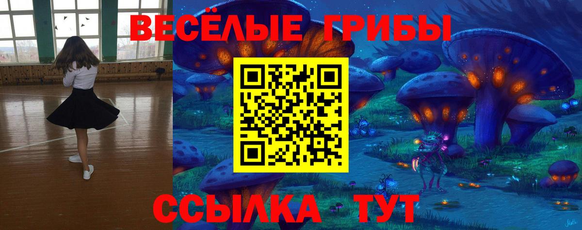 Галлюциногенные грибы Psilocybe Нововоронеж