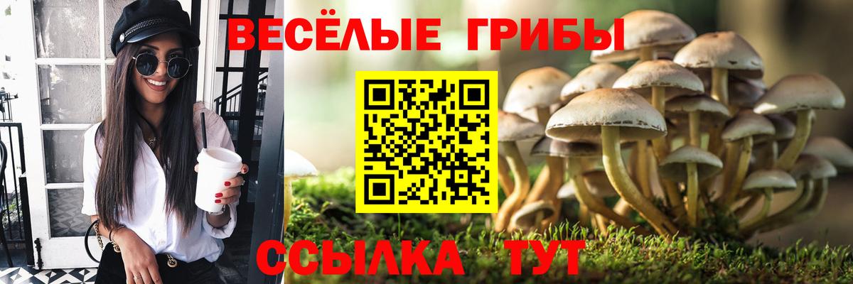 Нововоронеж  Псилоцибиновые грибы Magic Shrooms  Вход с VPN 