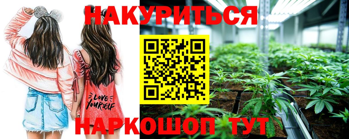 МАРИХУАНА SATIVA & INDICA  Бошки Шишки тримм  Нововоронеж  Вход с VPN 